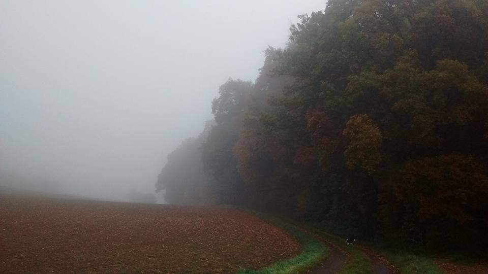 Umgang mit verstorbenen Seelen | Hollenhof